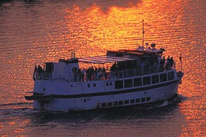 Dinner Cruise Dinner Cruise