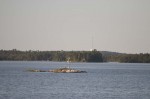 IMG 9528
